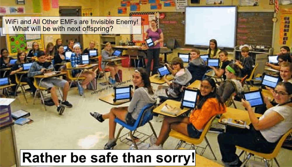Talk to school principal and teachers to protect one classroom to test and prove protection.