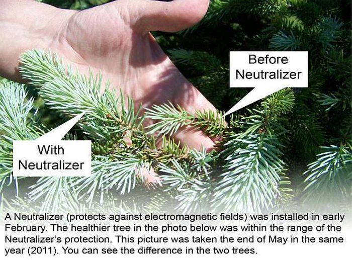 With and without Neutralizer - observing nature - MicroAlpha Products