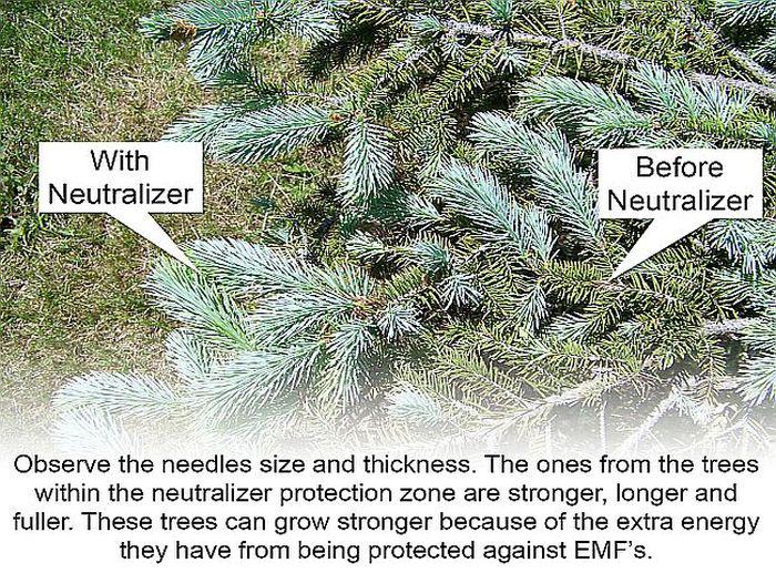 With and without Neutralizer - observing nature - MicroAlpha Products